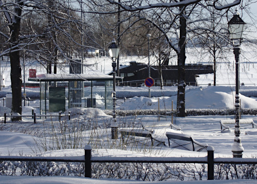 Läpinäkyvä bussipysäkki puiston reunalla