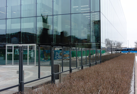 Helsingin musiikkitalon reunalla on suojaisia pensaita, mutta lasien heijastus on petollinen