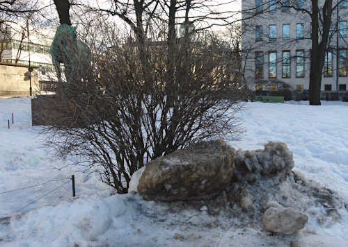 Pensaalle ajettua lunta