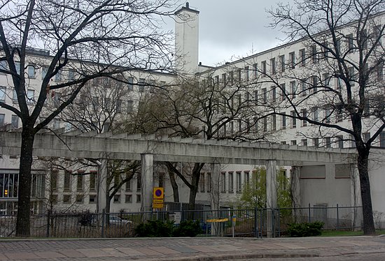 Sisäpiha jossa puita, pensaita, köynnöksiä ja nurmialuetta.