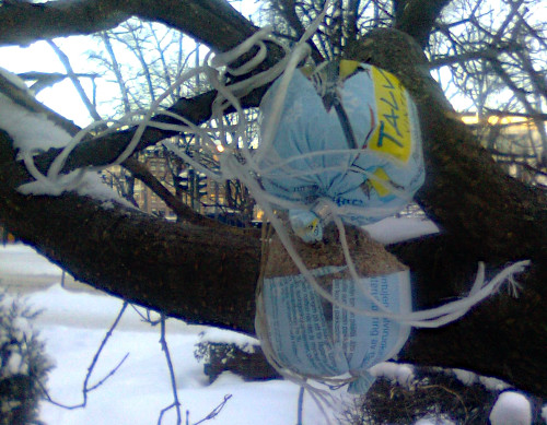 Talimakkara ja sen rönsyilevä sidontanaru