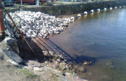 Heinäsorsa hiekkarannalla johon on tehty uudistus